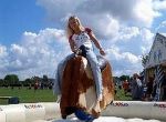 Rodeo- Simulator- Aktionsgerät